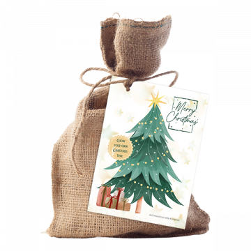Grow Your Own Christmas Tree - Jute A6